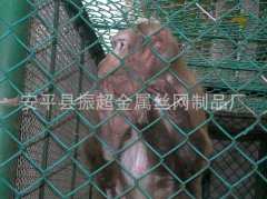 籠具鋼絲網(wǎng)