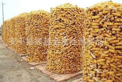 圏玉米電焊網(wǎng) 電焊網(wǎng)-www.chinajsh88.com