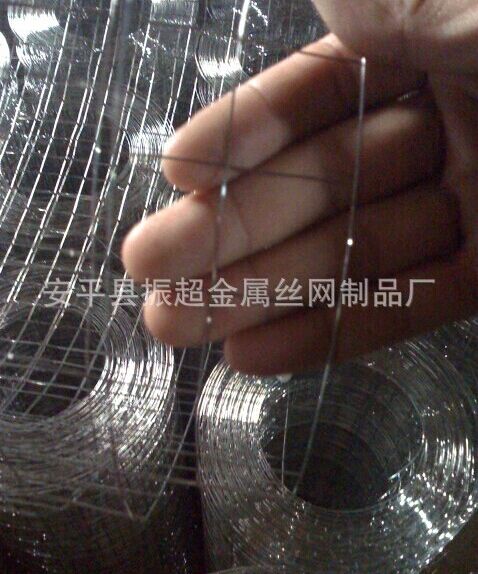 316不銹鋼電焊網 電焊網-www.chinajsh88.com