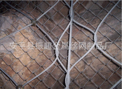 邊坡防護(hù)網(wǎng)