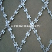 帶刺鋼絲網(wǎng)
