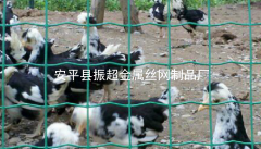 圈雞鴨用鋼絲網(wǎng)