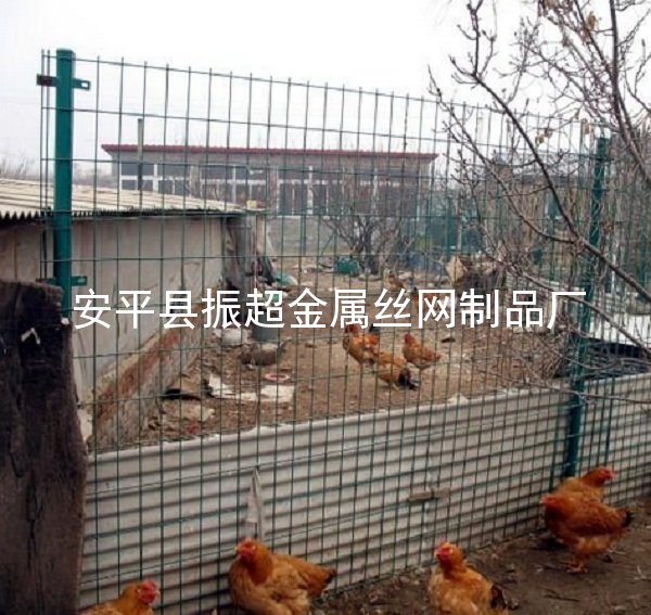 圈雞圈鴨用鐵絲網-http://www.chinajsh88.com