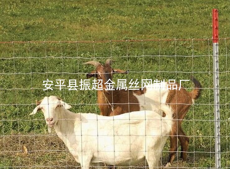 圈牛圈羊鐵絲網 牛欄網-http://www.chinajsh88.com