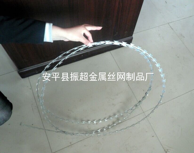 不銹鋼刺繩-安平縣振超金屬絲網制品廠www.chinajsh88.com