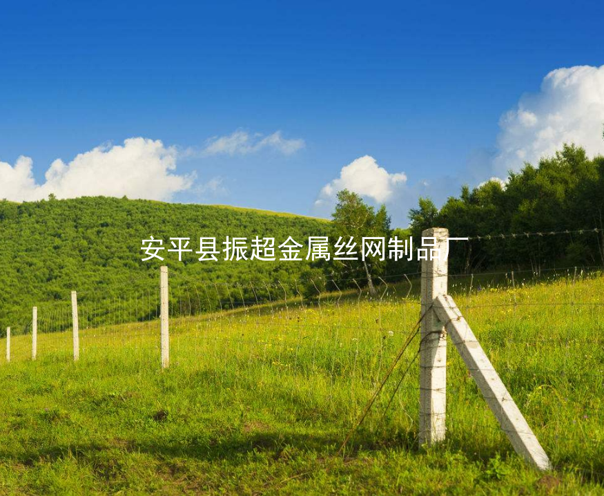 草原鐵絲網圍欄-www.chinajsh88.com
