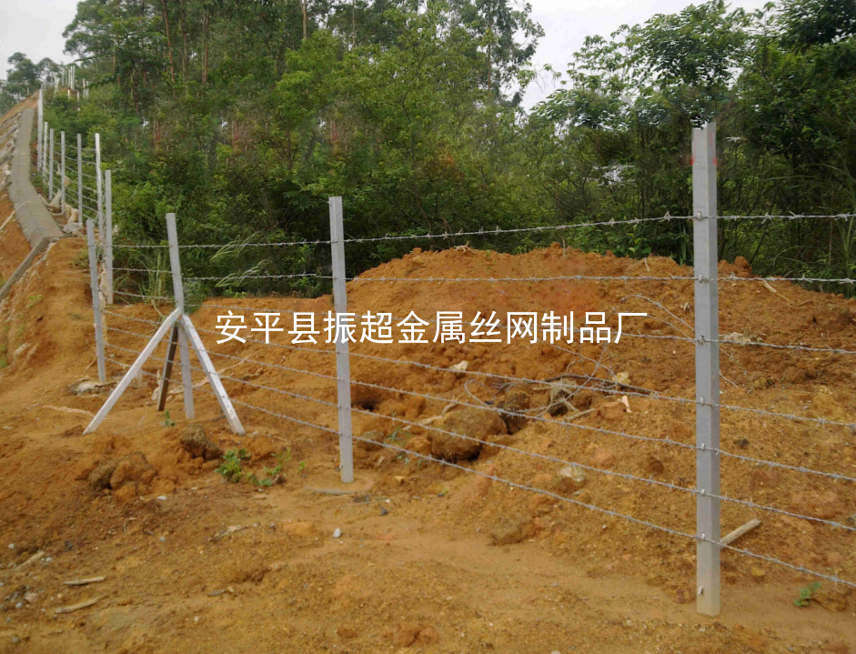 帶刺鐵絲網www.chinajsh88.com