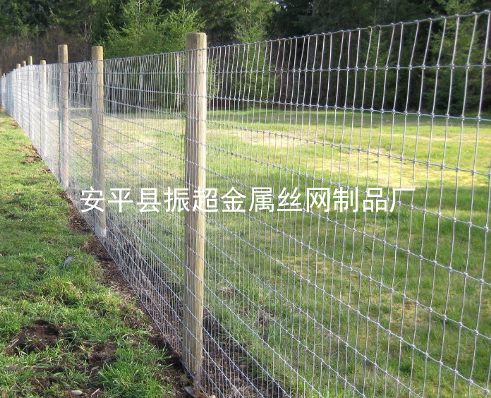 草原圍網(wǎng)-www.chinajsh88.com