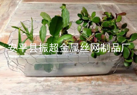 鐵絲網(wǎng)籠