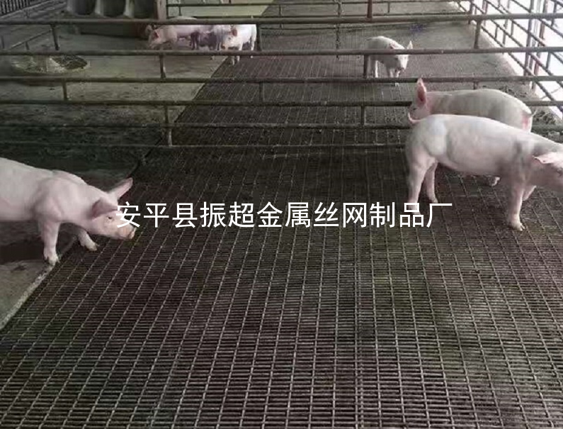 鐵絲網保育床,鐵絲網產床-www.chinajsh88.com