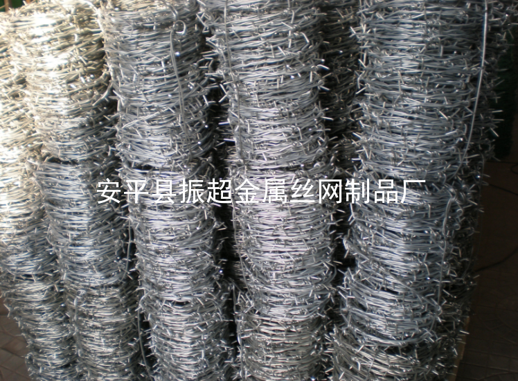 鐵絲蒺藜圍網-www.chinajsh88.com