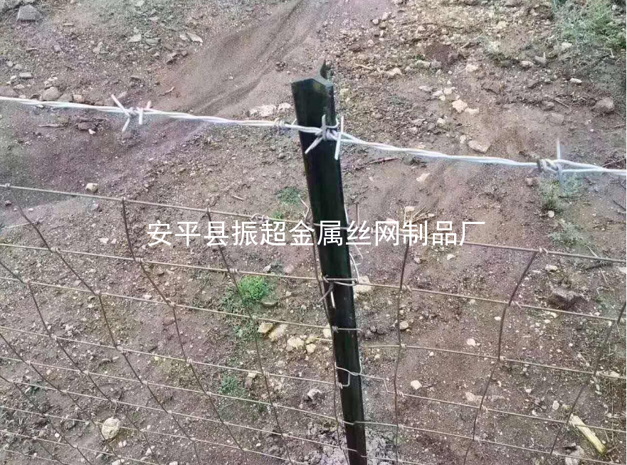 圈羊鐵絲網，圈牛鐵絲網-www.chinajsh88.com