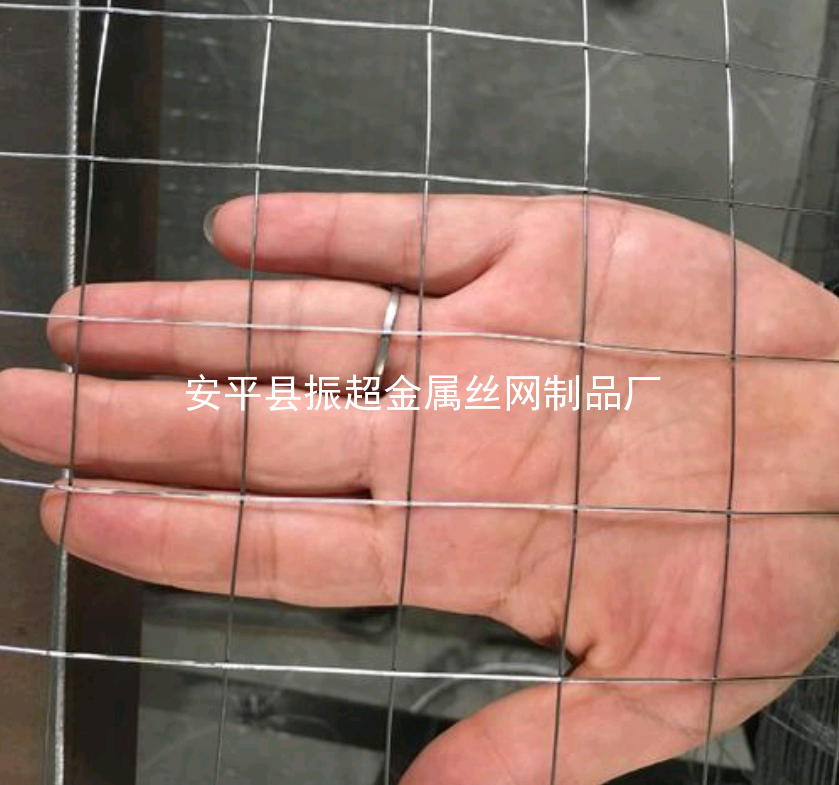 電焊鐵絲網-www.chinajsh88.com