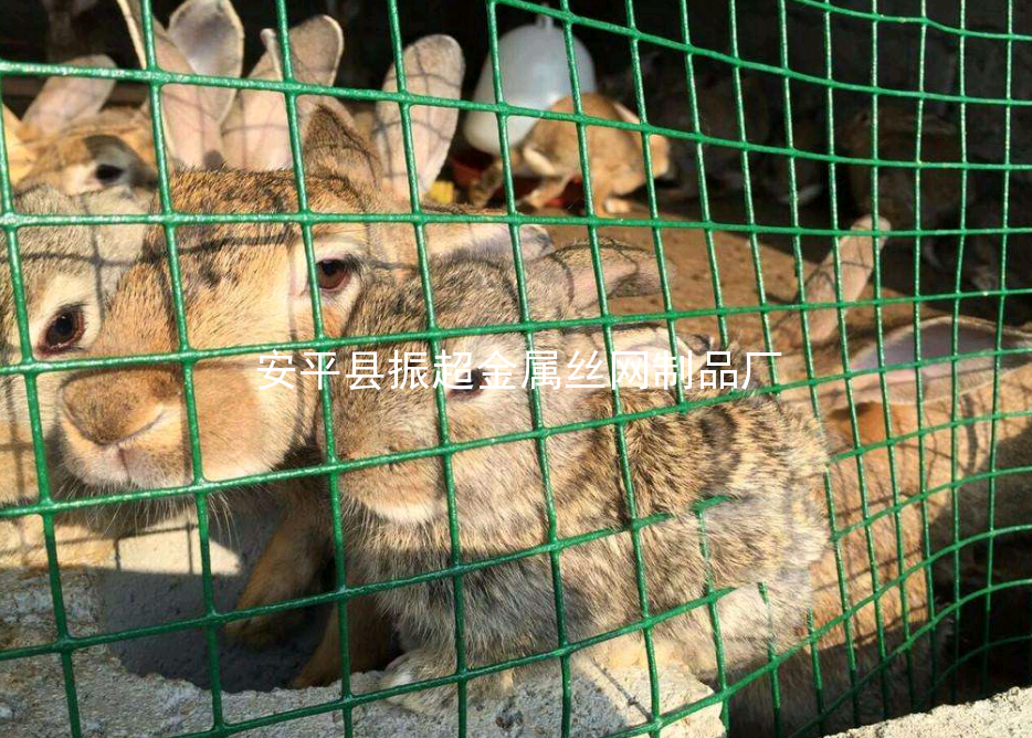 養殖鐵絲網，綠皮鐵絲網-www.chinajsh88.com