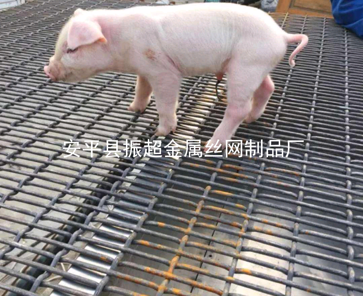 豬床鐵絲網-www.chinajsh88.com