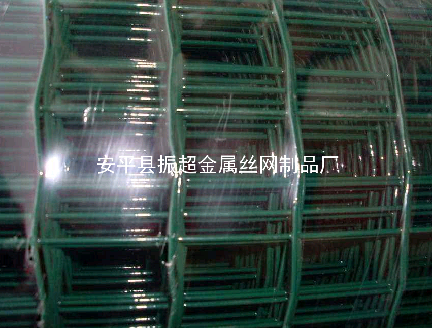 綠皮防護網-www.chinajsh88.com