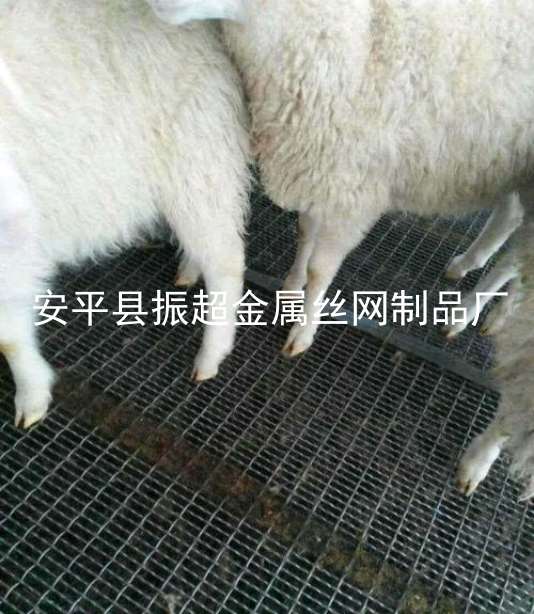 鐵絲網羊床，養羊漏糞板-www.chinajsh88.com
