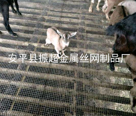 養羊漏糞板，養殖漏糞板鋼網-www.chinajsh88.com